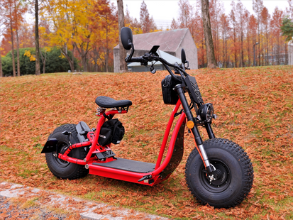 CRUISER RED 3000W