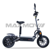 Off-road EEC Electric Scooters With Horn With Cruise