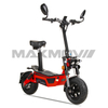 Travel New Design Folding EEC Electric Scooters