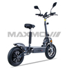 Off-road EEC Electric Scooters With Horn With Cruise