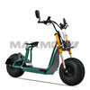 Urban Homologation Lithium Battery EEC Electric Scooters