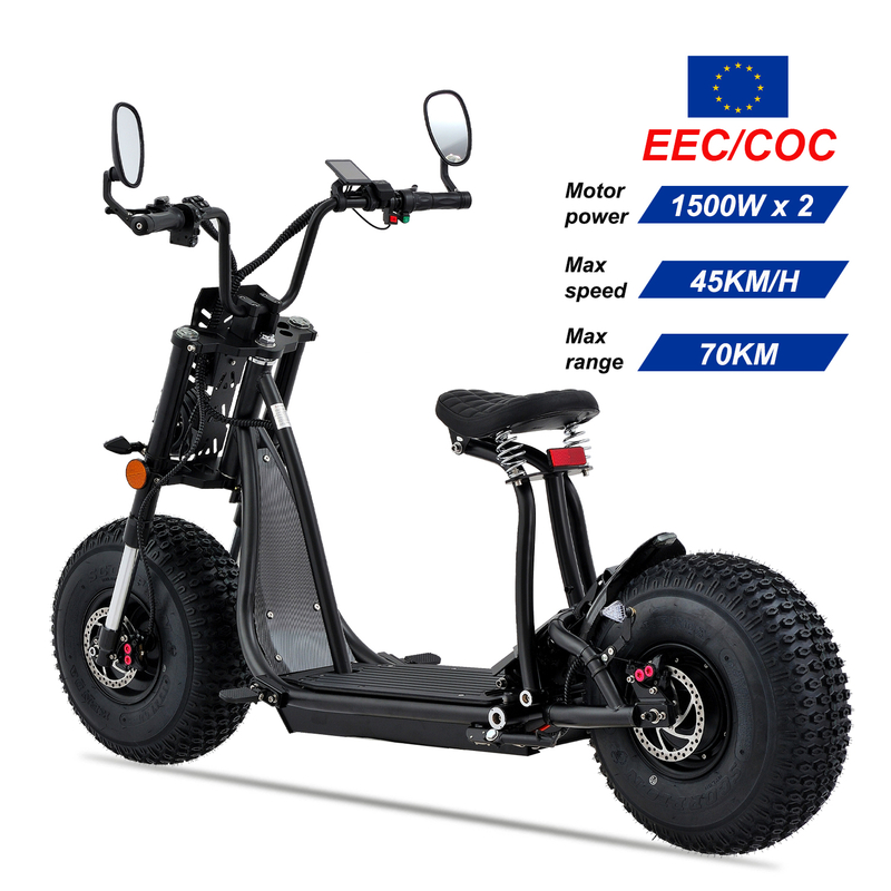 EEC/COC Electric Motorcycle Scooters 3000W Dual Motor Drive 60V Lithium Battery L1e EU Type Approval