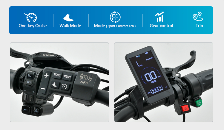 CRUISER LCD display multi-function